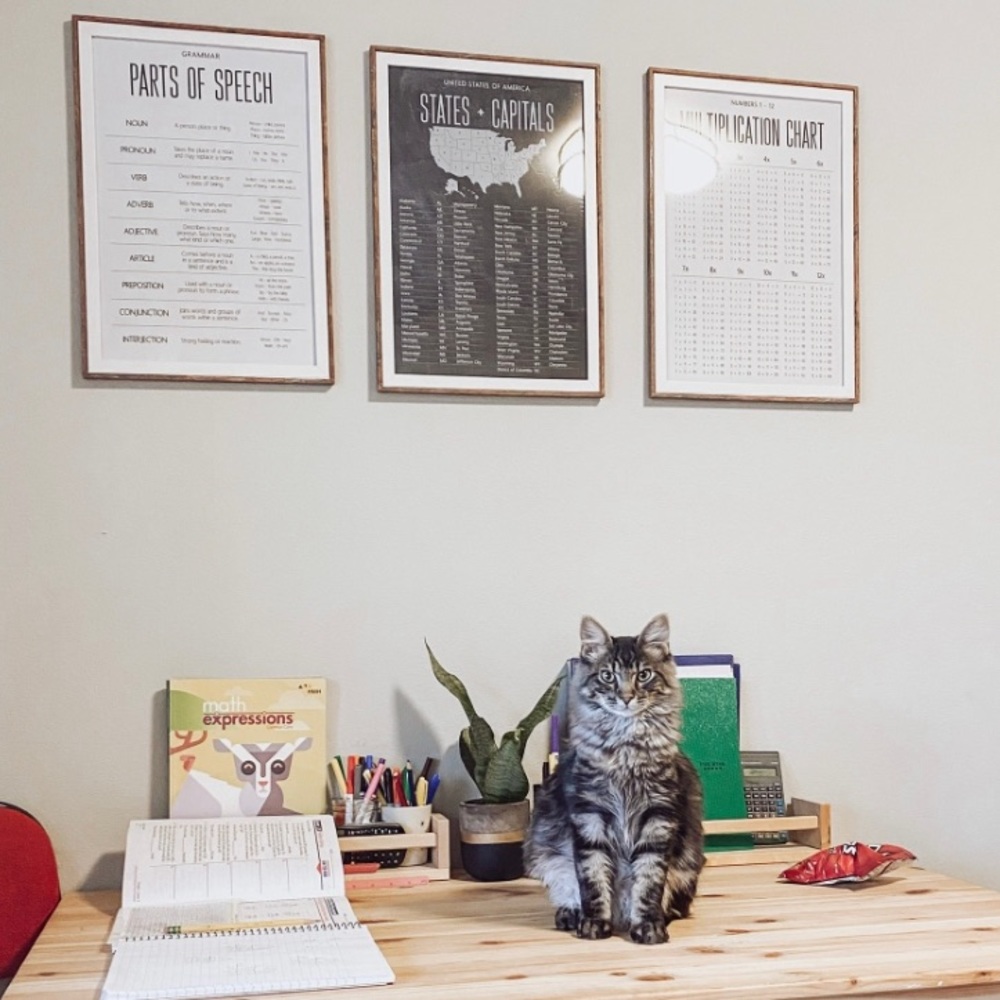 Homeschool posters